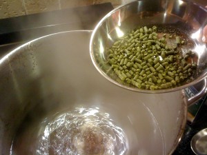 Put back on heat, bring to boil then add hops. Set timer for 60 mins